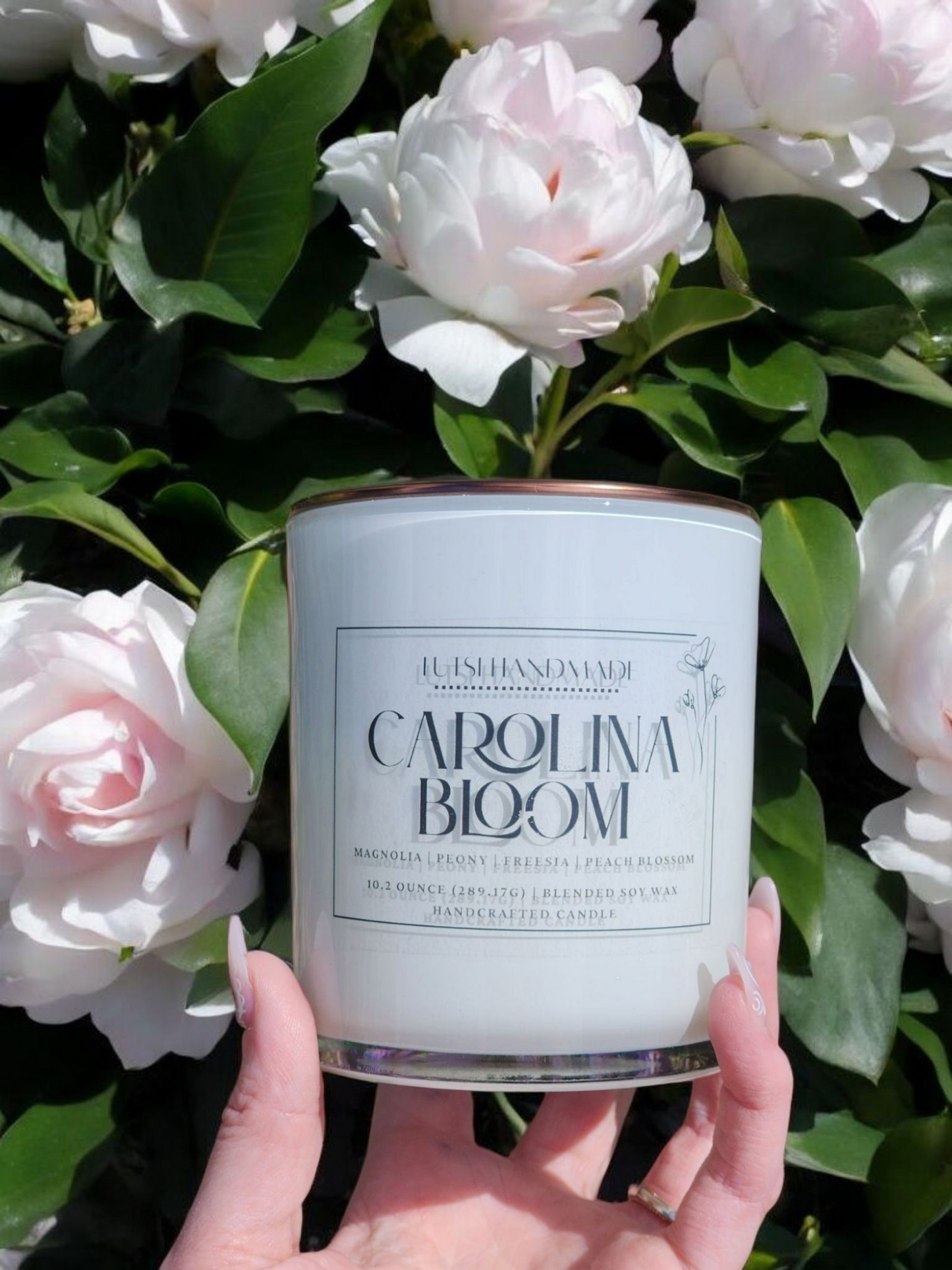 Carolina Bloom