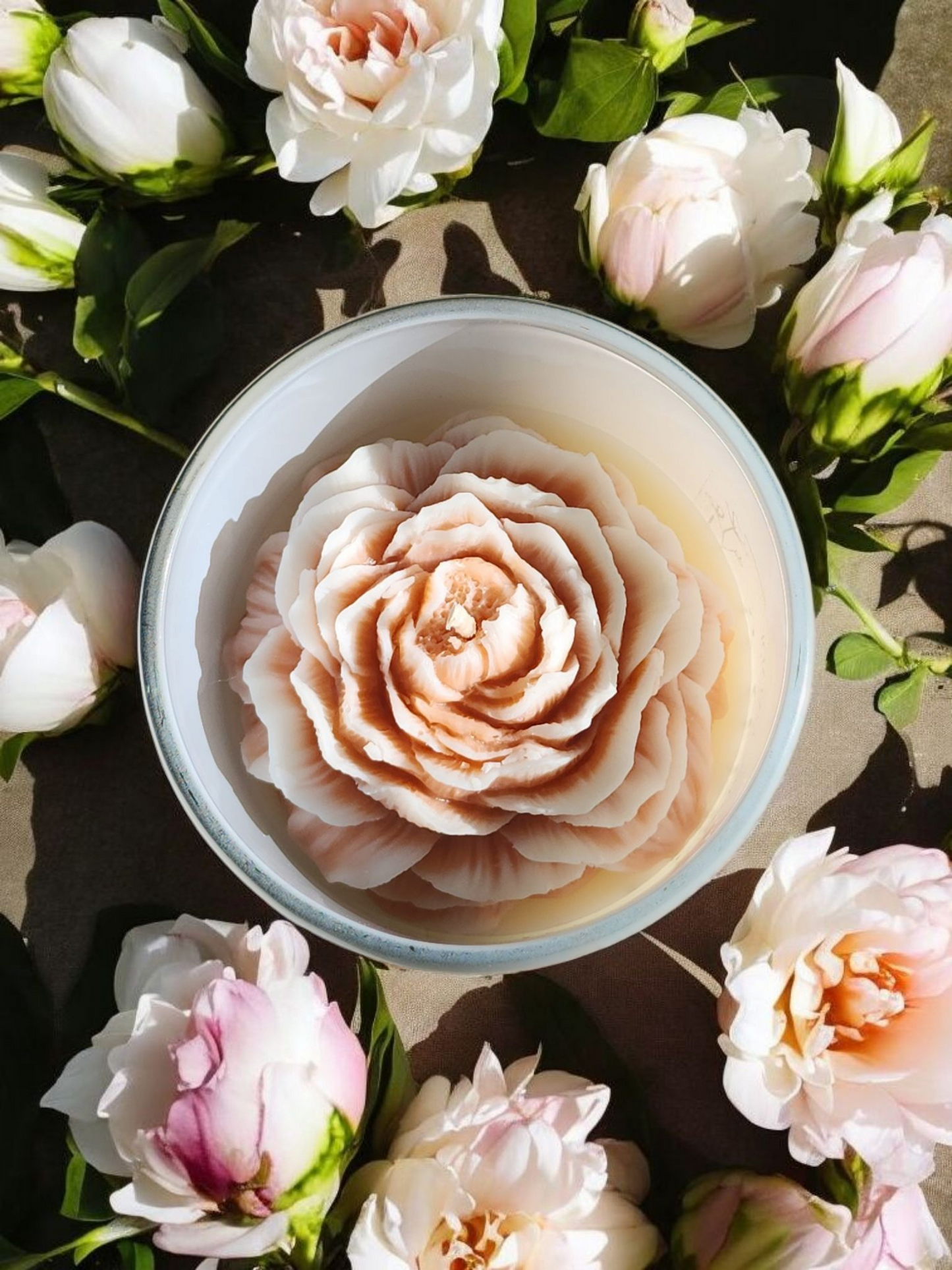 Carolina Bloom