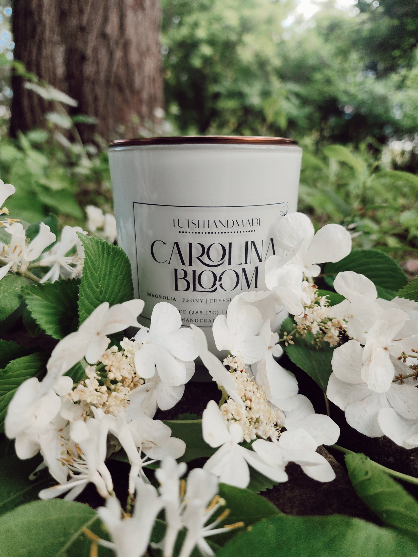 Carolina Bloom